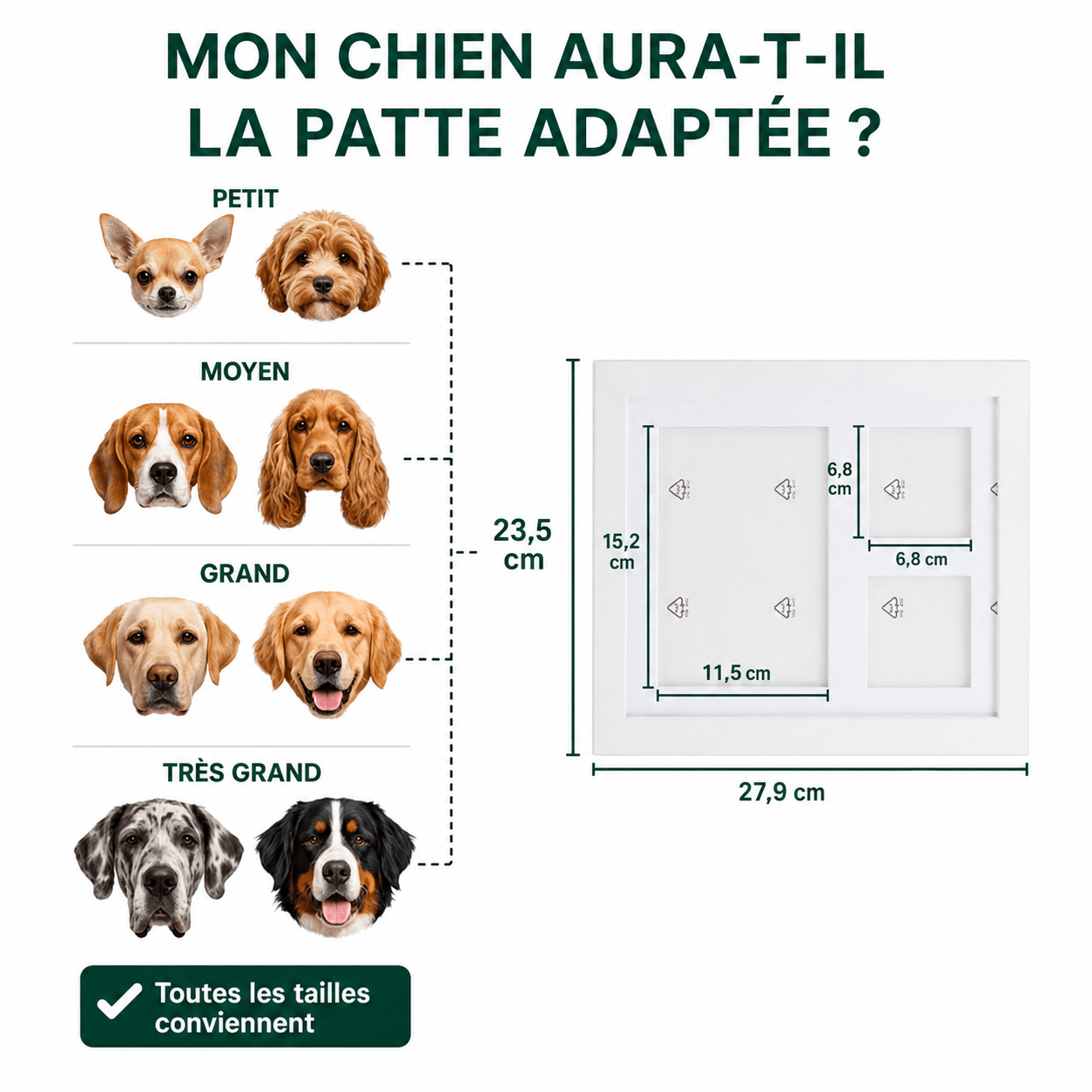 Le Kit d’Empreinte de Patte en Argile