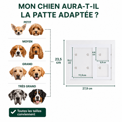 Le Kit d’Empreinte de Patte en Argile