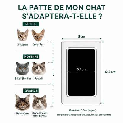 Le Kit d’Empreintes Parfait pour Chat