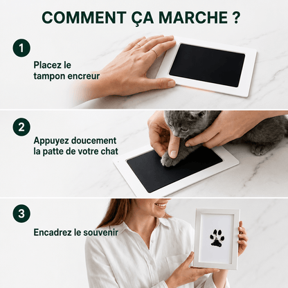 Le Kit d’Empreintes Parfait pour Chat